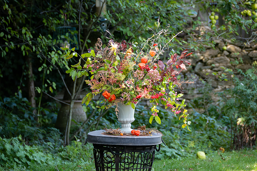A vibrant autumn arrangement with orange physalis, pink spindle berries and rich coloured foliages makes a stunning autumnal arrangement. Belton Blooms.
