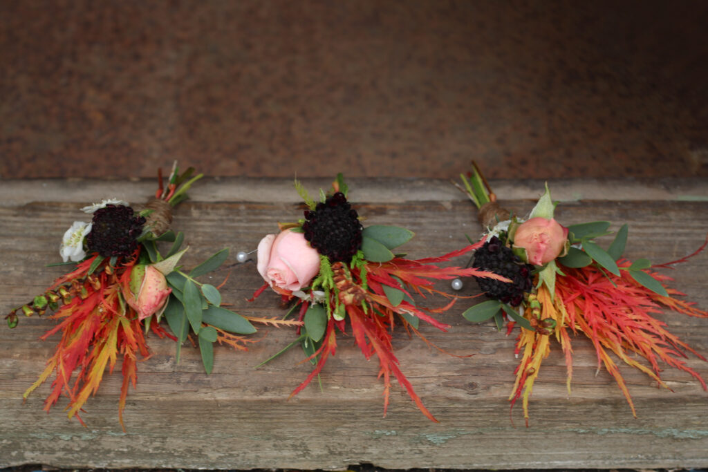 Autumn buttonholes with bright maple leaves, roses and scabious by Tuckshop Flowers, Birmingham