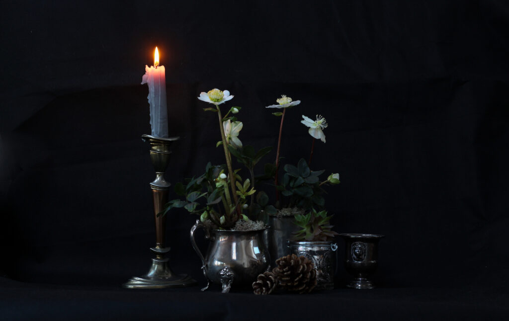 A winter Hellebore display with a candle and pine cones by Tuckshop Flowers.