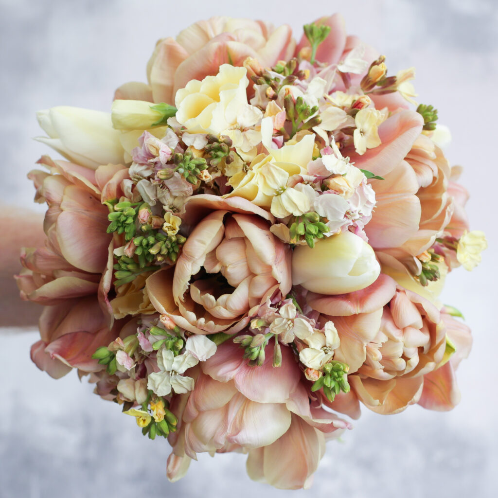 A cappucino toned wedding bouquet of voluptous coffee coloured Belle Epoque tulips, mixed with pale lemon wallflowers and smaller tulips. Photo: Cotswold Posy Patch.
