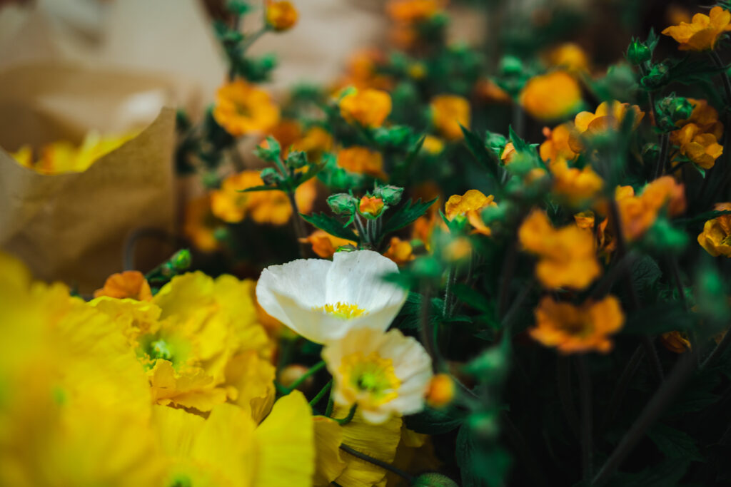 Delicate papery petals of white and yellow poppies contrast with the deep tones of golden wallflowers. Flowers for the 2023 Coronation donated by Flowers from the Farm.