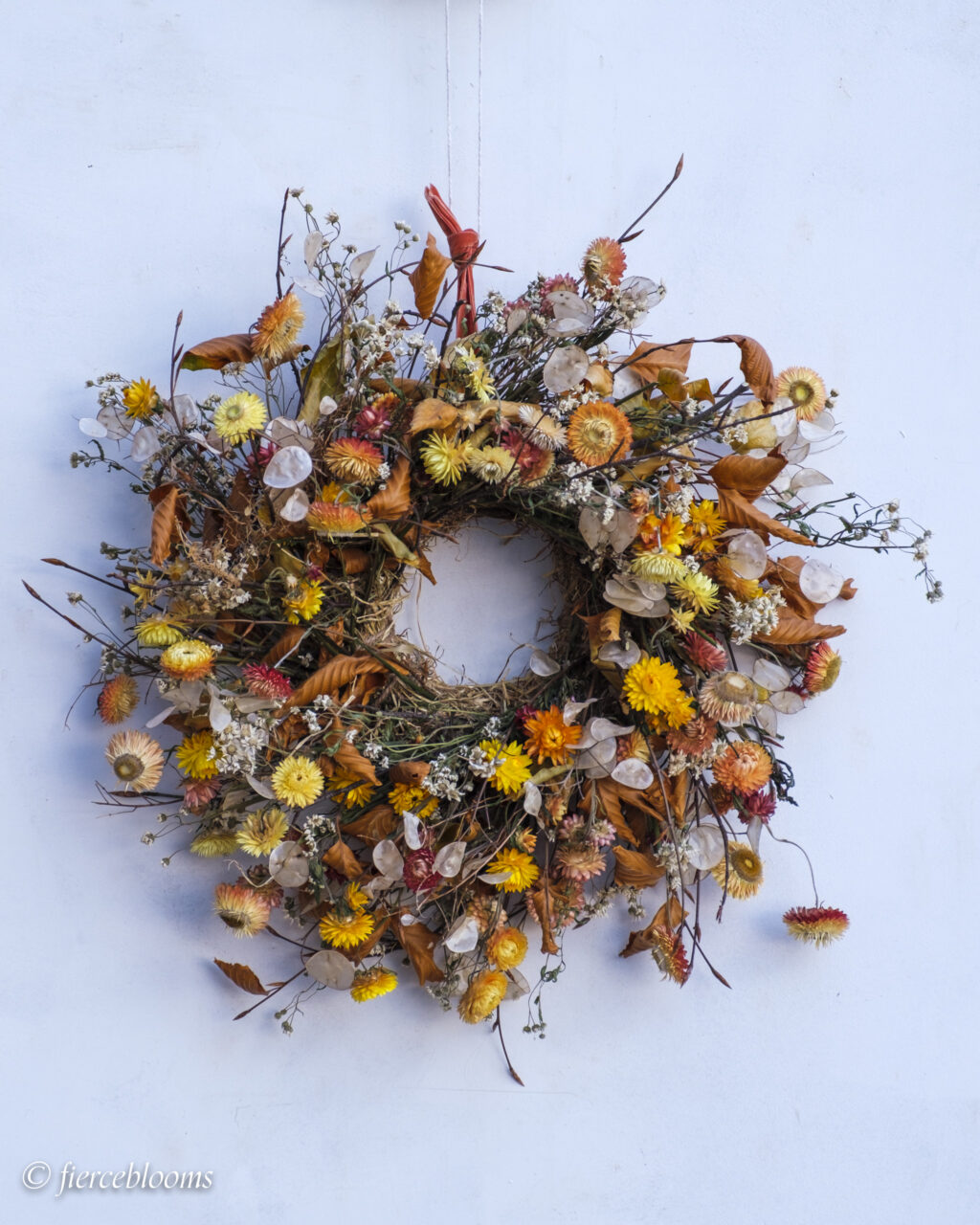 A wreath with sustainable flowers at its heart. Locally grown dried strawflowers adorn a sustainable, biodegradable base. By Fierceblooms, Cheshire.
