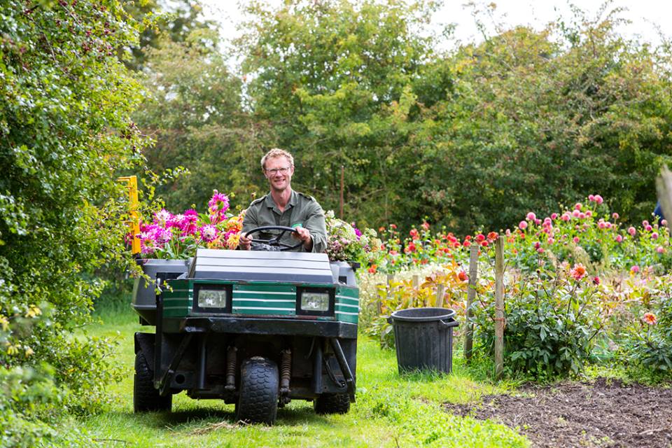 Ashley of Green and Gorgeous drives along the paths of his flower farm at Green and Gorgeous, with his trailer full of British summer cut flowers. In the cutting beds, bright dahlias tower in pinks, oranges and purples.