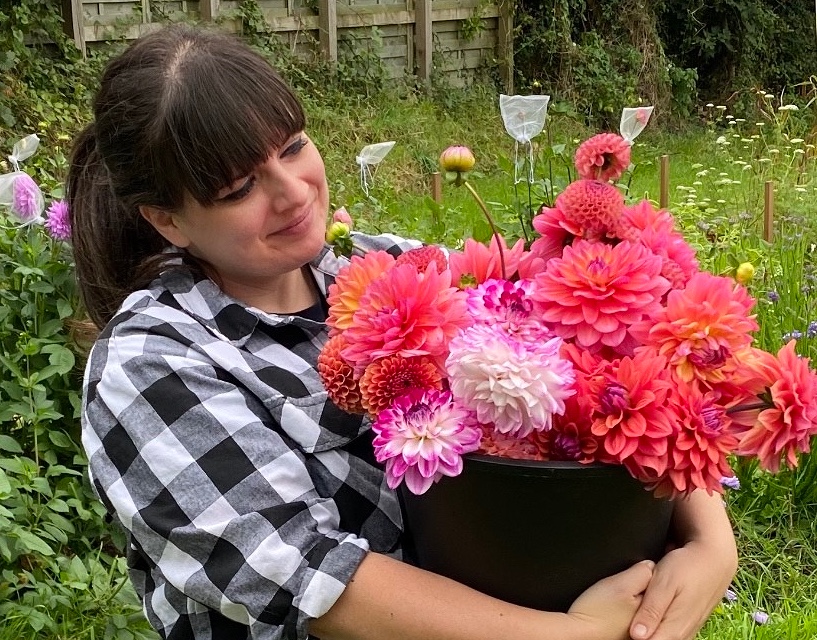 Bryony Jones of the Cornish Cottage Garden grins at an armful of dahlias freshly cut from her small scale flower farm.