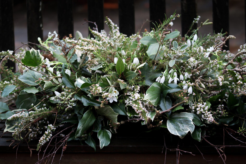 A winter foam free funeral casket spray made with white heather, snowdrops, scented narcissi and seasonal evergreen foliages. By Tuckshop Flowers.