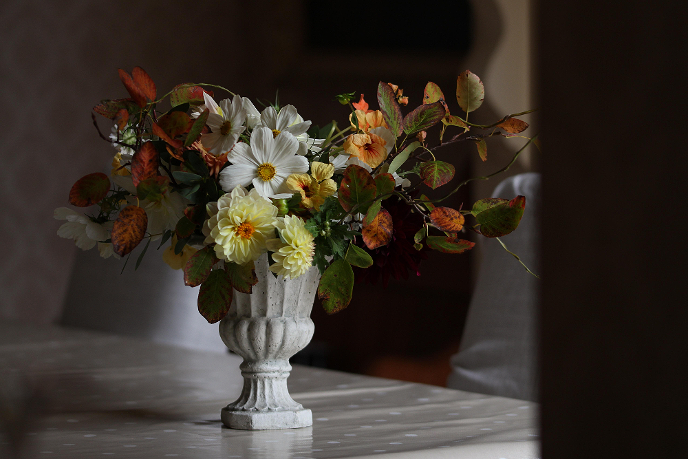 A small white plaster urn hold pale yellow dahlias, white cosmos daisies and the turning burnished leaves of amelanchier. Tuckshop Flowers, Birmingham.