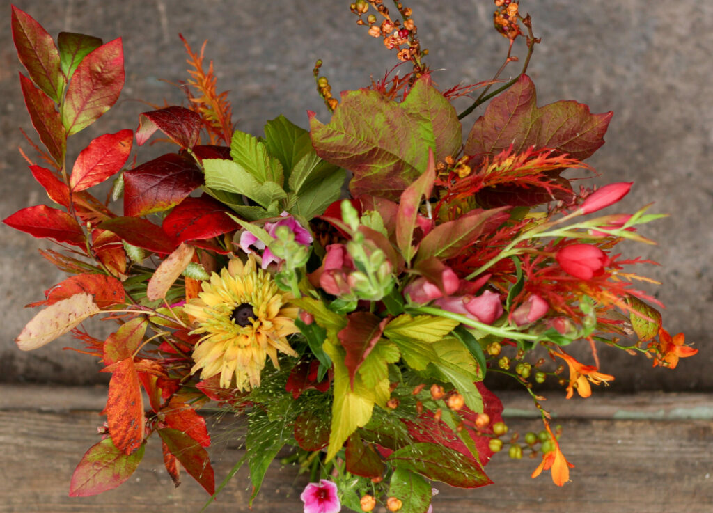 A wedding bouquet with fiery autumn leaves adding reds, yellow and bright greens to the rich yellows of rudbeckia and bright oranges of crocosmia.
