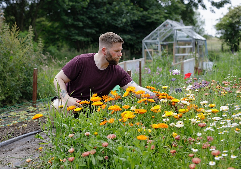 Mark McKee of Welshborn tends his patch of annual flowers for cutting and picks vibrant orange calendula to add colour to arrangements.