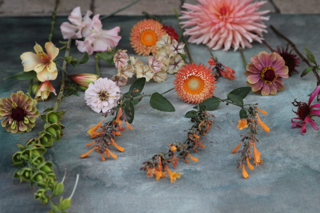 Cut flowers on a workshop bench by Wildly Beautiful Flowers - find floral workshops, events and open days near you.