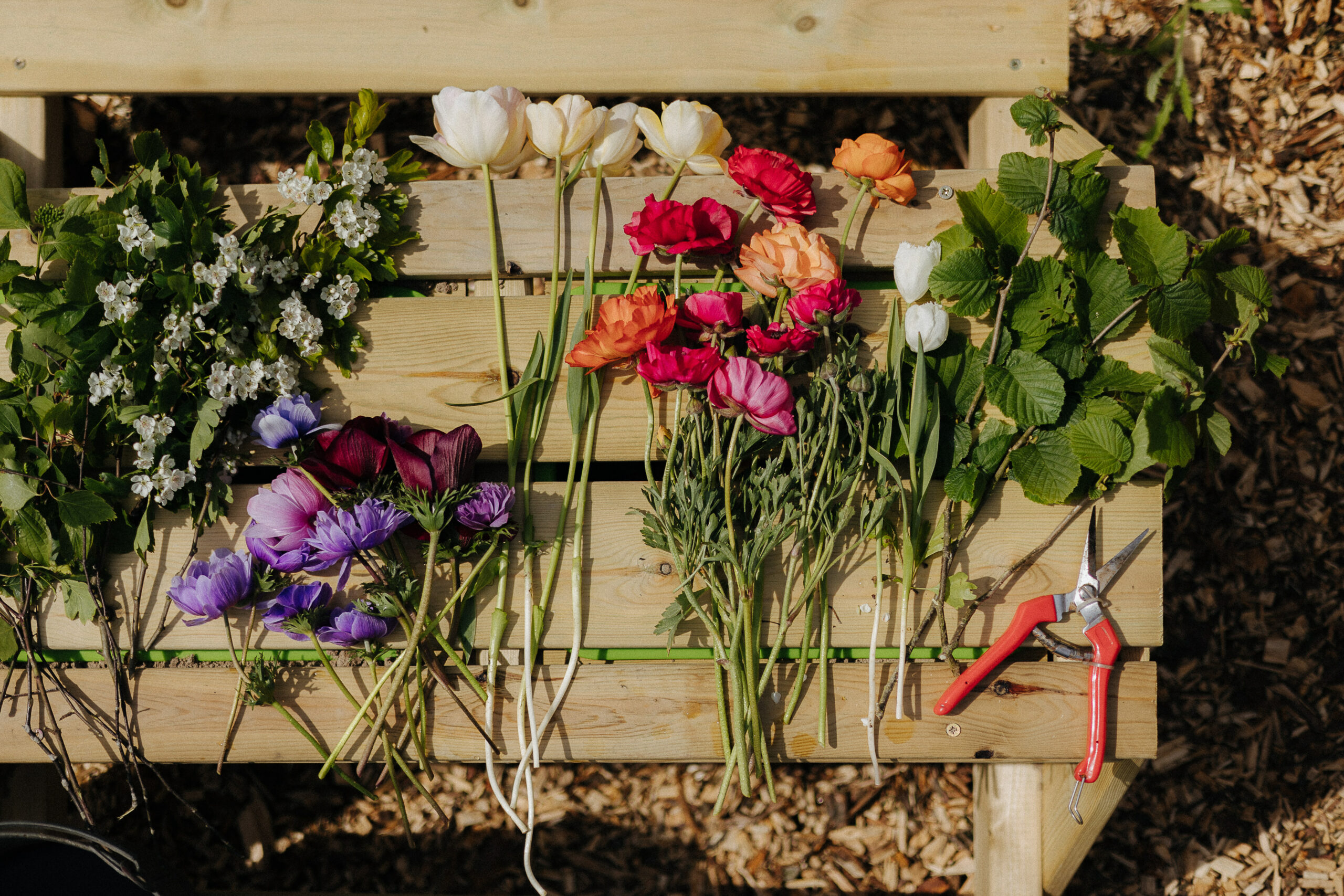 A colourful array of flowers laid out on a bench, waiting to be assembled into a bouquet