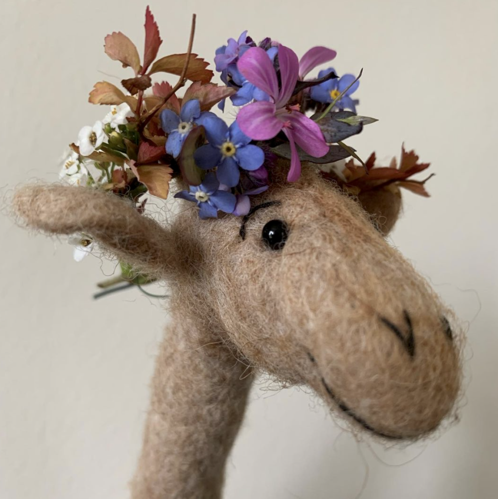 John the Hungarian giraffe at Fieldgarden Flowers wears a flower crown for National Garden Day