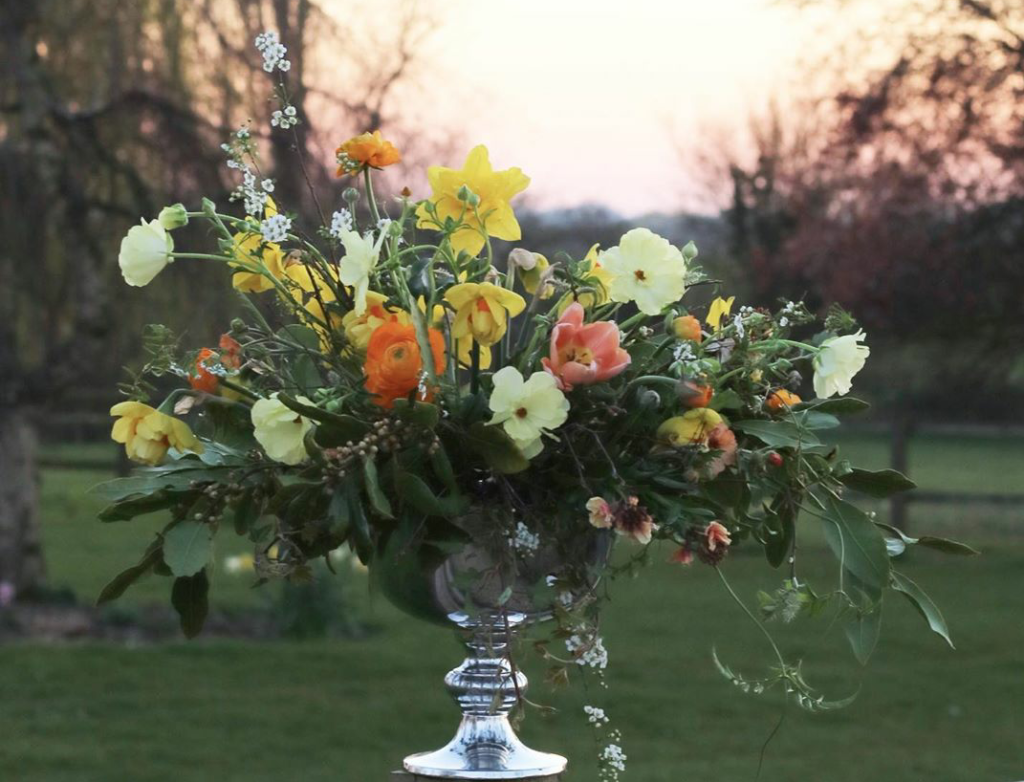 A large compote of dark foliage studded with colourful orange ranunculus, yellow narcissi and creamy ranunculus phtograped against a receding avenue of trees. Tangle and Thyme, Essex